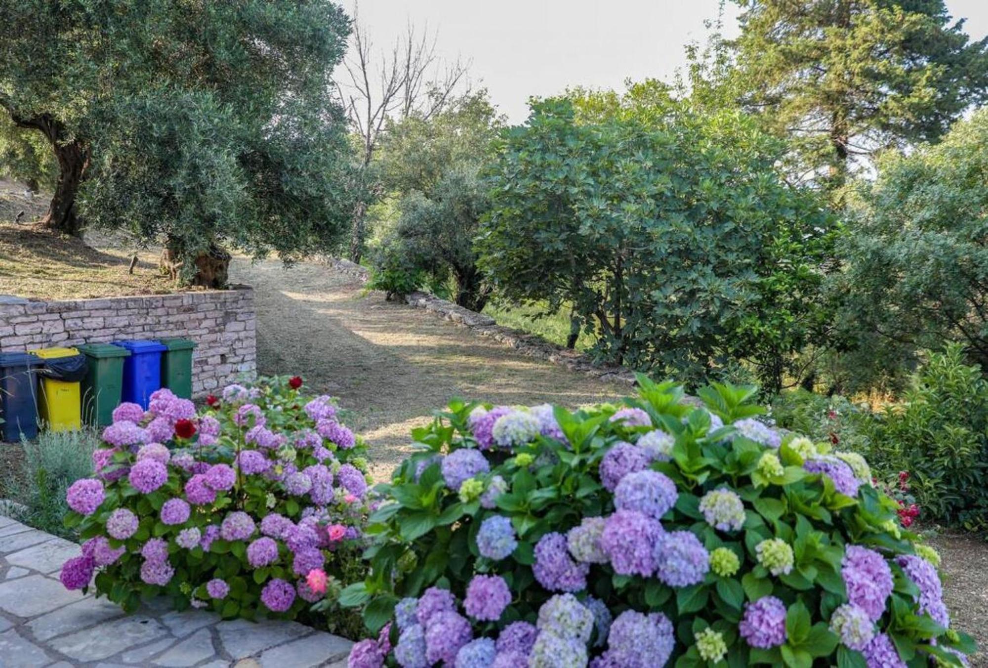 Sinies Stone Cottage - Ne Corfu Agnítsini Екстериор снимка